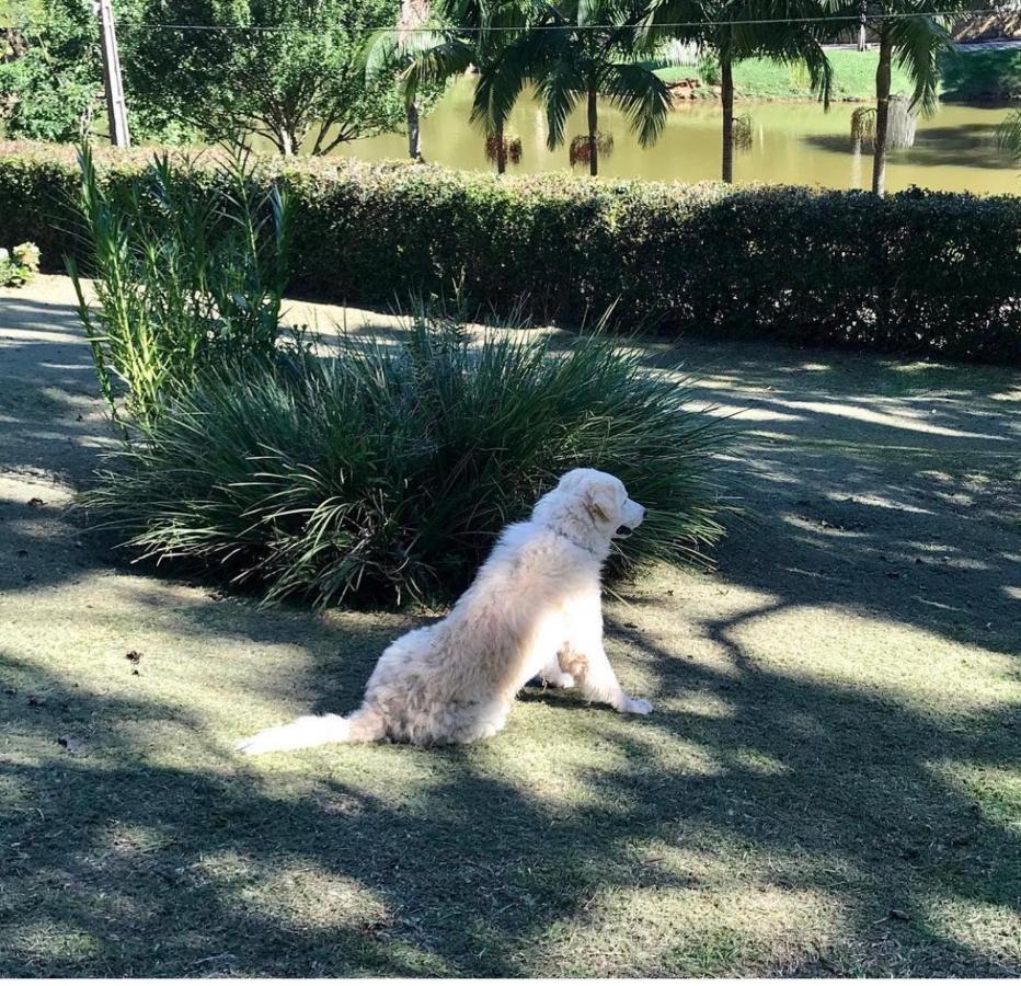 Natal e ano novo e férias na Casa maravilhosa da serra casa inteira Villa Teresópolis Exterior foto